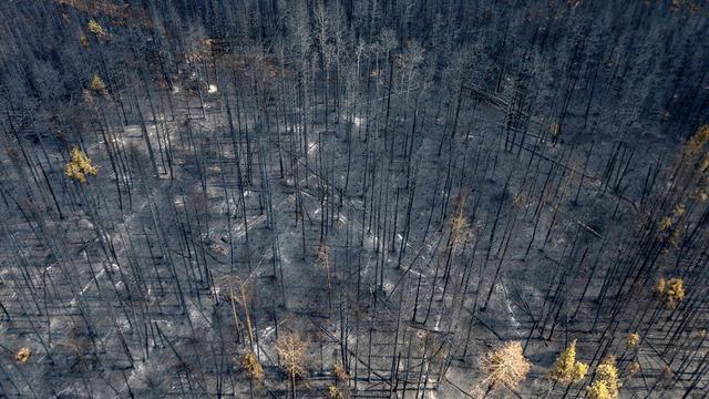 cbsn-fusion-smoke-from-canadian-wildfires-moving-across-us-thumbnail-1983144-640x360.jpg 