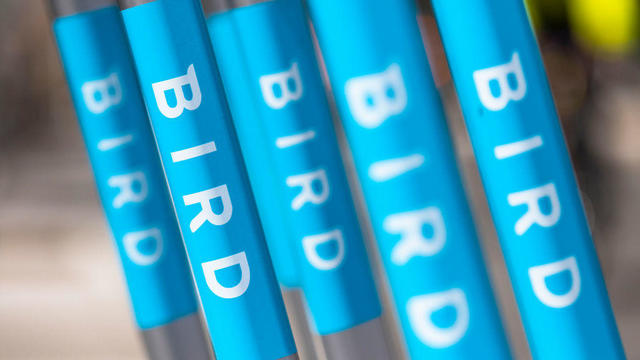 Close up of Bird electric scooters 