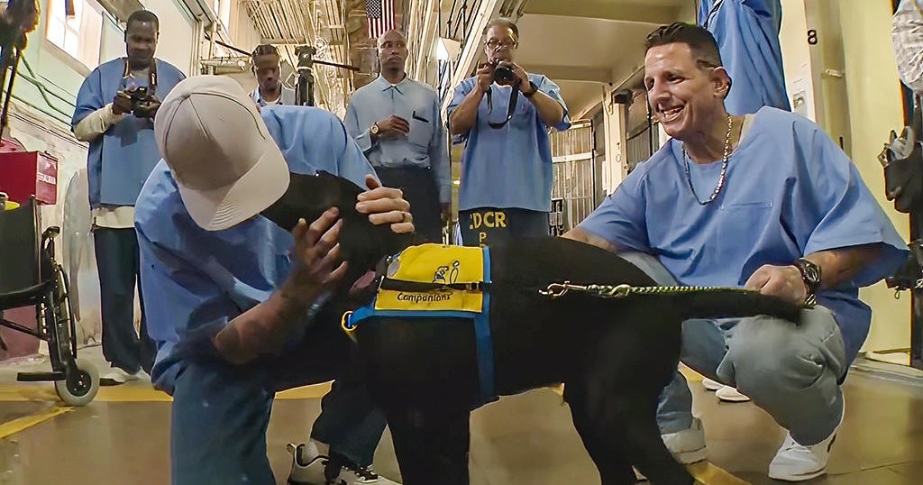 San Quentin inmates help train puppies to become service animals