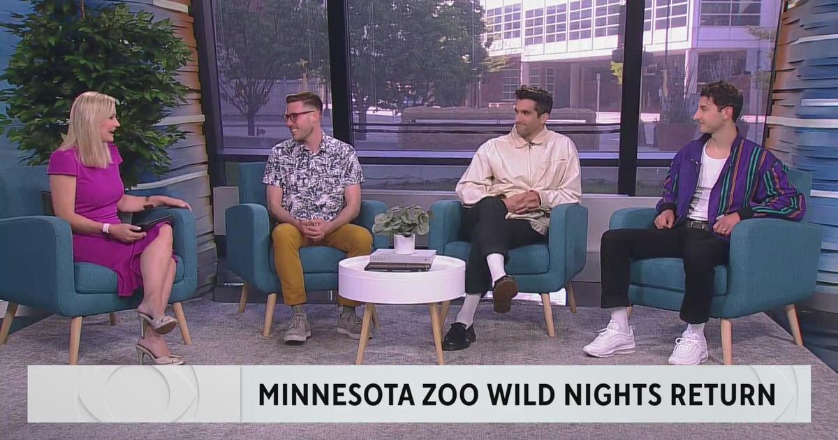 Minnesota Zoo’s Wild Nights kicks off next week CBS Minnesota