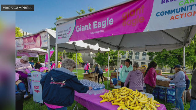 kdka-2023-komen-more-than-pink-walk.jpg 