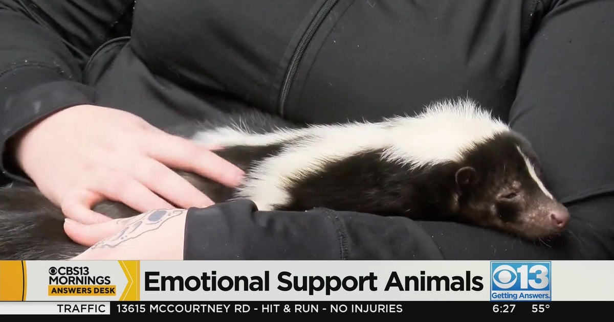 Dramatic rise in emotional support animals with more different types now