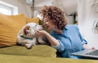 why-you-should-buy-pet-insurance-for-your-dog-now.jpg 