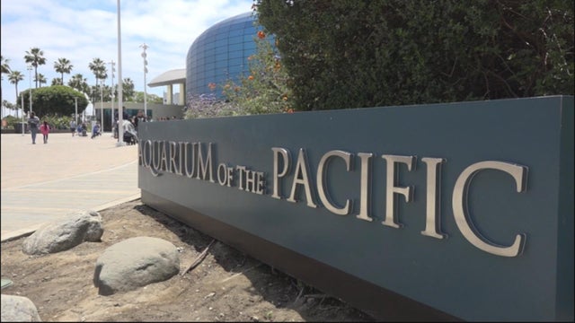 aquarium-of-the-pacific.jpg 