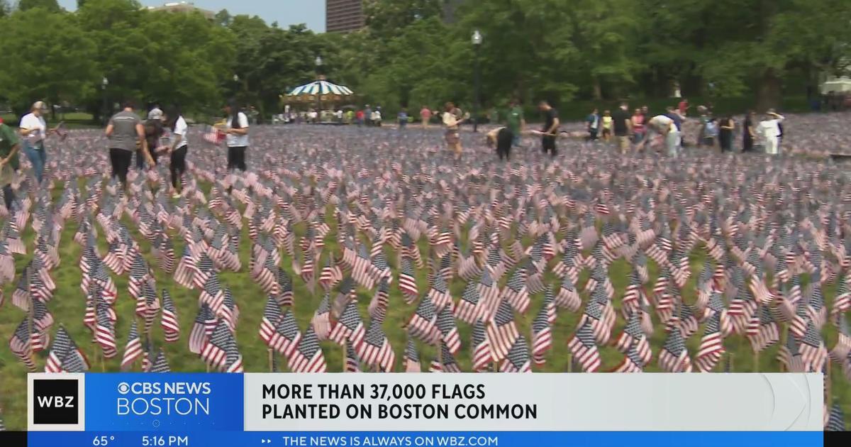 Volunteers plant more than 37,000 flags on Boston Common for Memorial Day