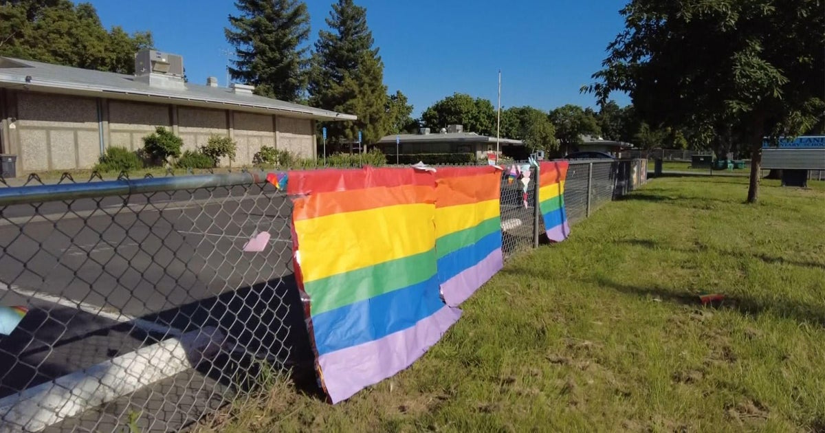 Who does not love rainbows?: Davis Pride celebrations face pushback
