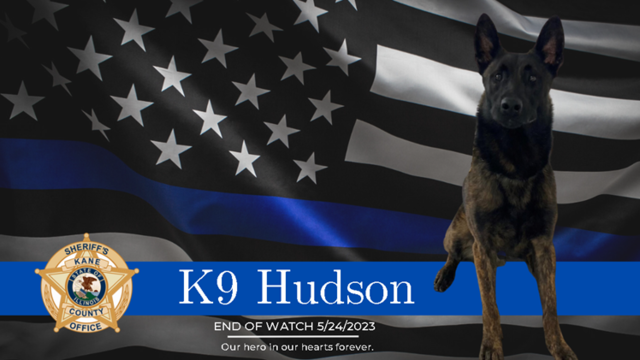 K9 Hudson End of Watch 