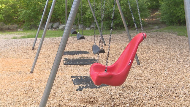 swings-bellingham.jpg 