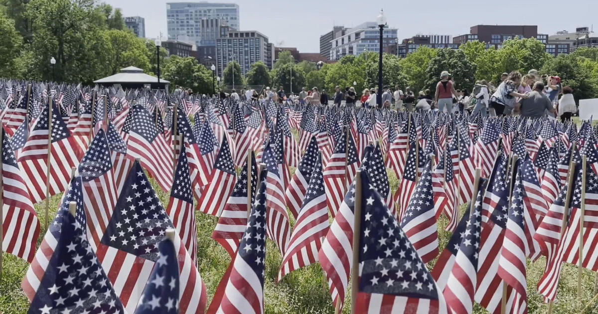 Volunteers plant 37,000 flags on Boston Common ahead of Memorial