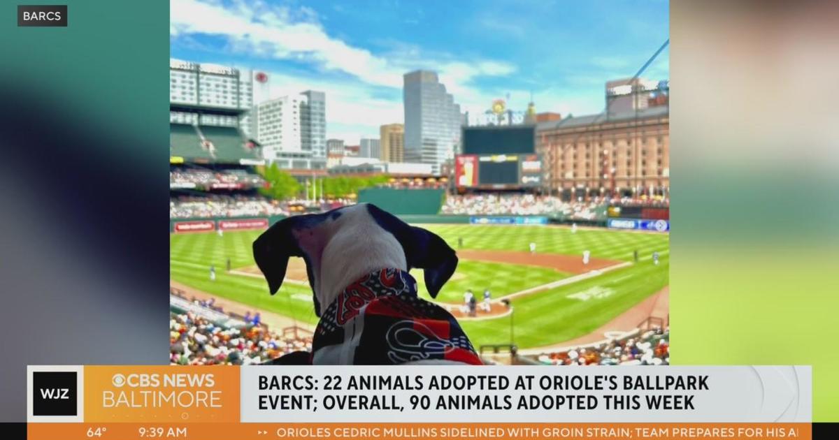 Orioles and BARCS to host pet adoptions Memorial Day weekend in