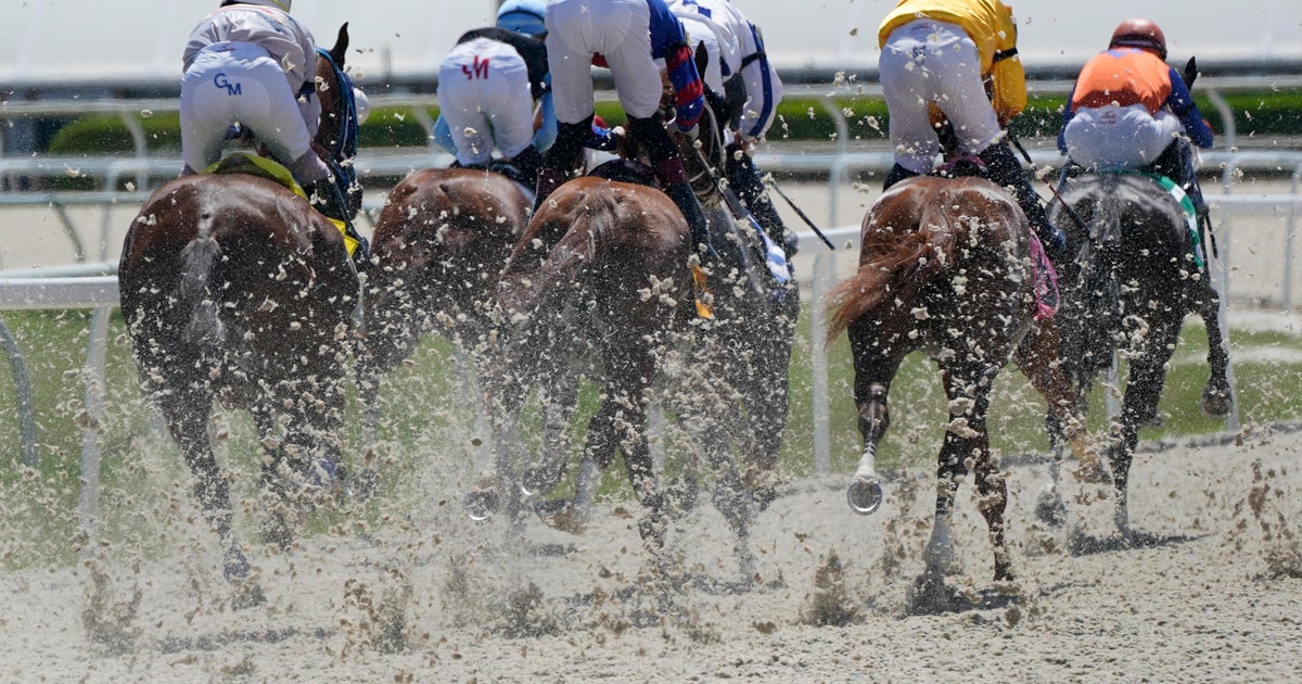 Florida House bill could impact horse racing at Gulfstream Park Florida House bill could impact horse racing at Gulfstream Park