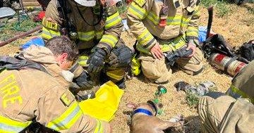 9 dogs rescued after going missing during a garage fire in Sacramento