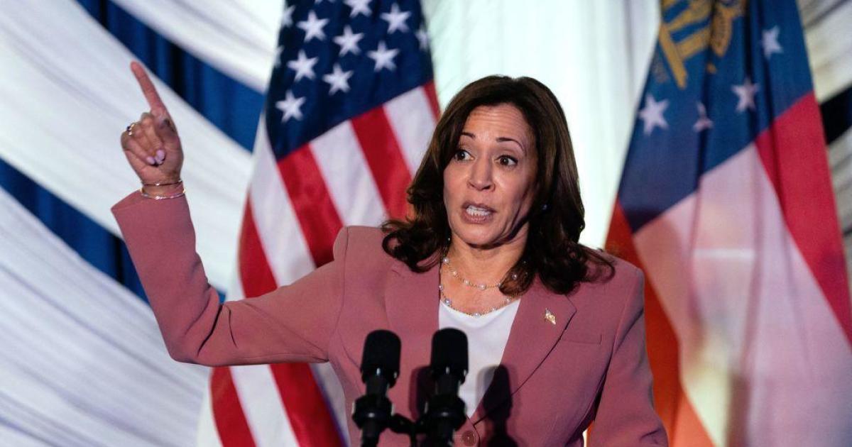 Vice President Kamala Harris to be a "leading voice" on gun violence heading into the 2024 cycle