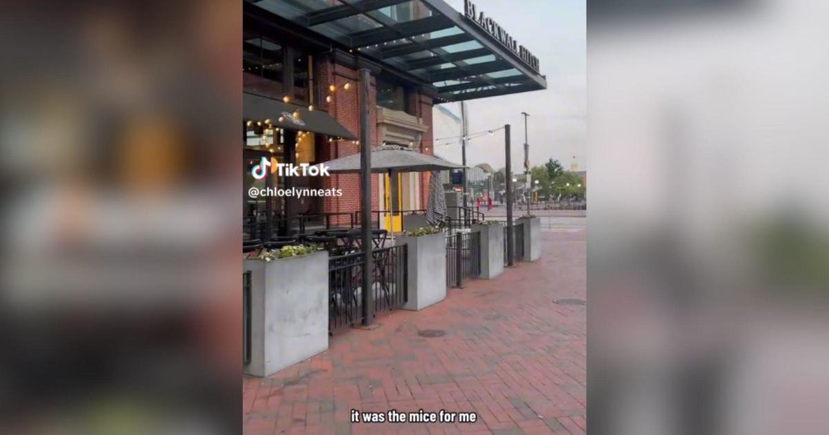 Baltimore restaurant closed over rodent infestation after TikTok goes viral