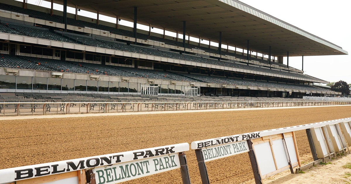 Horse dies at Belmont Park after sustaining injury during race ahead of next week's Triple Crown finale - Vimarsana News