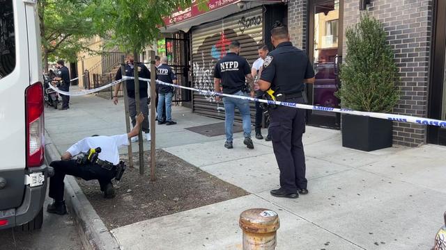 NYPD members investigate a sidewalk blocked off by crime scene tape. 