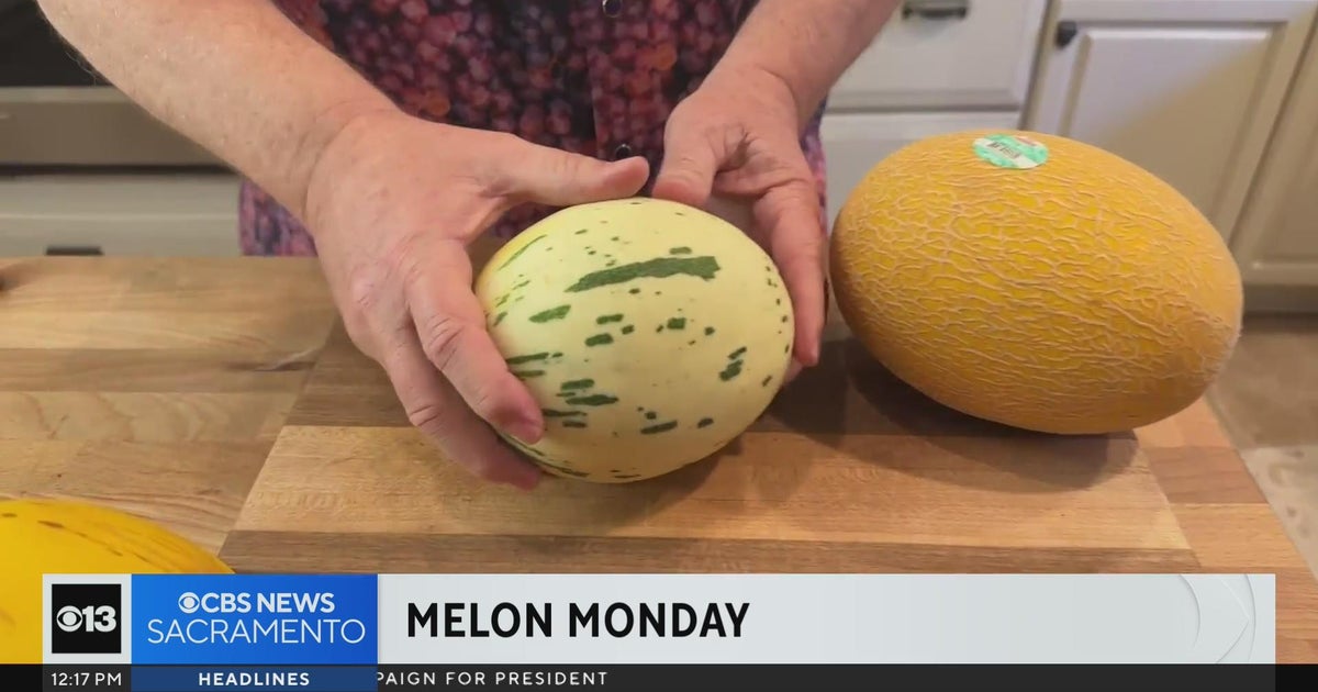 Lunch Break Melon Monday CBS Sacramento