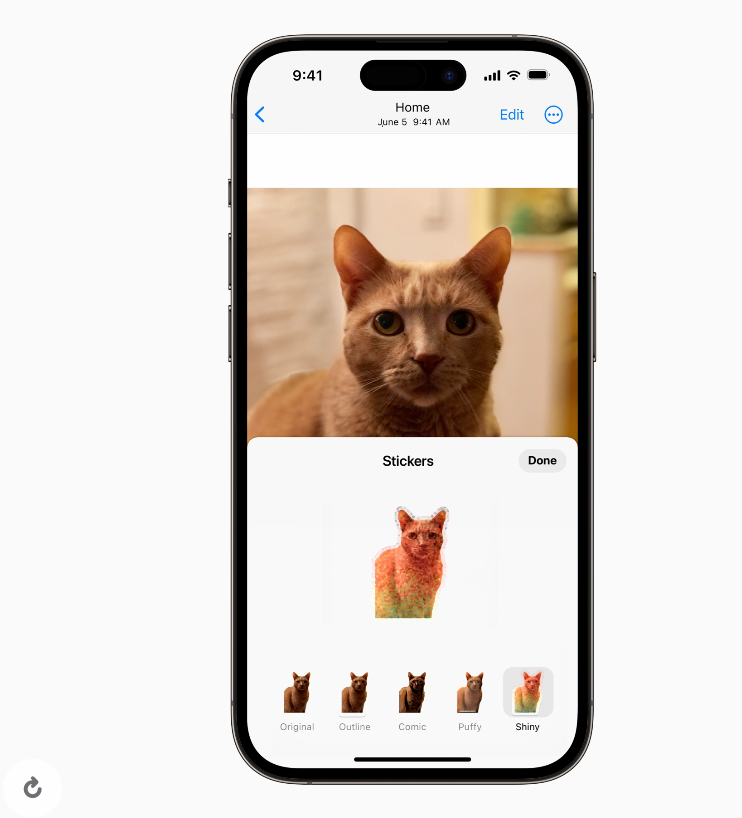 screenshot-2023-06-06-at-11-54-33-am.png 