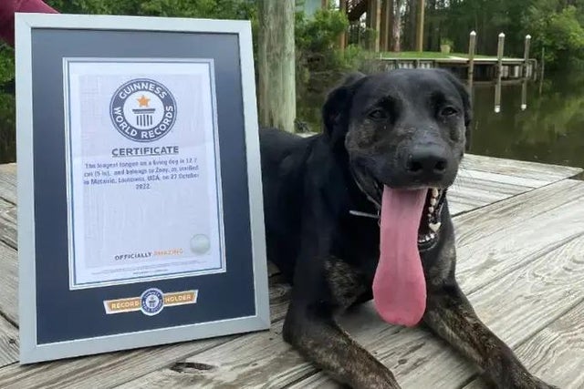 Zoey posing with her certificate