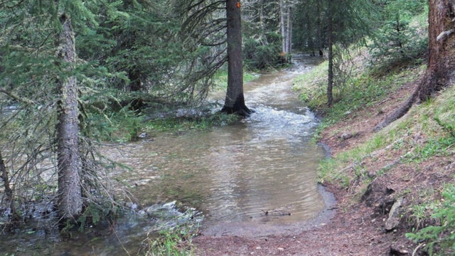 rmnp-trail-flooding-frame-262.jpg 