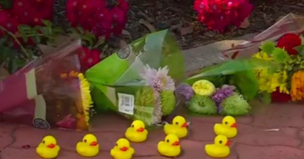 PETA honoring father of 2 who died after helping ducks cross a busy road - Vimarsana News