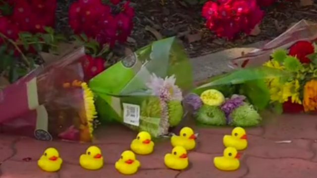 PETA honoring father of 2 who died after helping ducks cross a busy road 