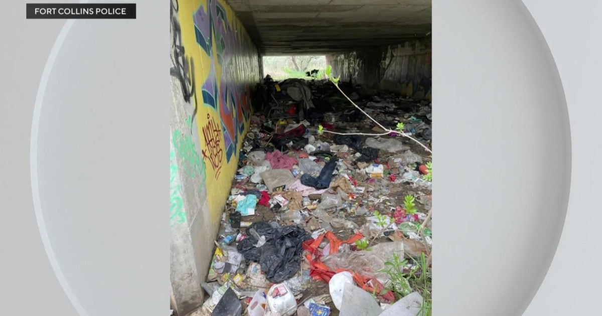 261 needles found in one homeless camp in Fort Collins CBS Colorado