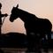 Poor air quality could affect Belmont Stakes