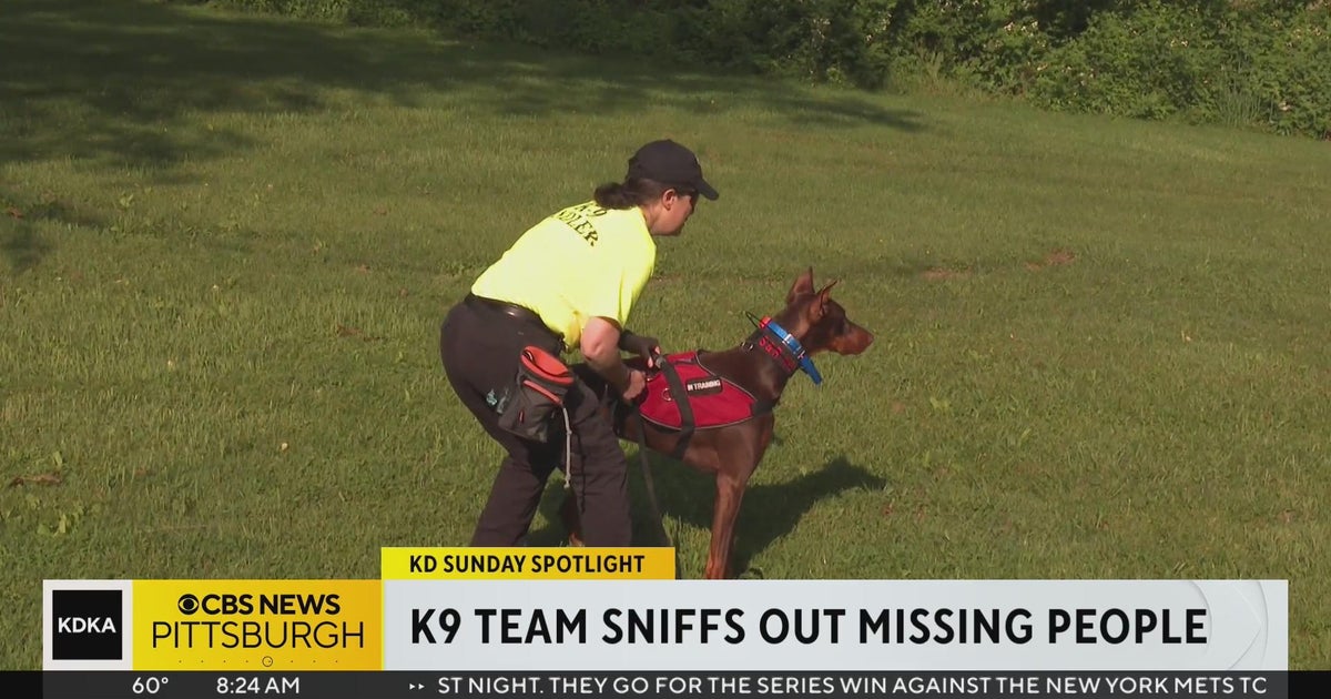KD Sunday Spotlight: K9 unit helps find missing people - CBS Pittsburgh