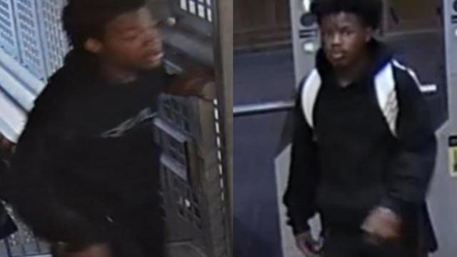 brown-line-robbery-suspects.jpg 