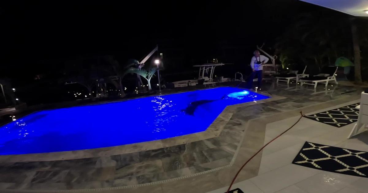 Video shows 10-foot crocodile pulled from homeowner's pool in Florida
