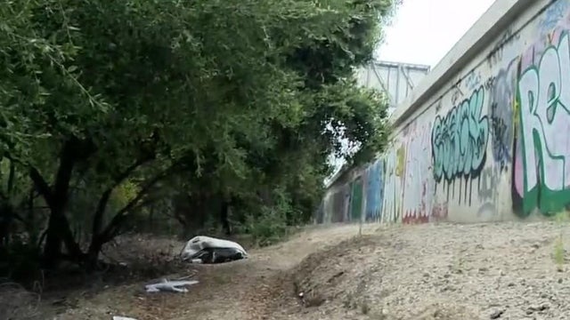 the-jungle.jpg 