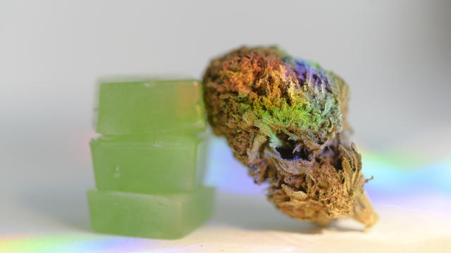 Stack of edible cannabis gummies and cannabis bud 