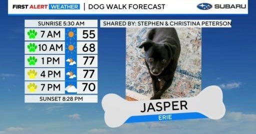 Jasper joins Dog Walk Forecast CBS Colorado