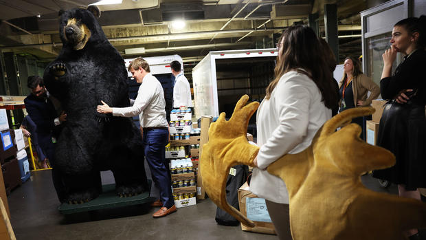 Marty The Moose And Kodak The Bear Return To Capitol Hill 