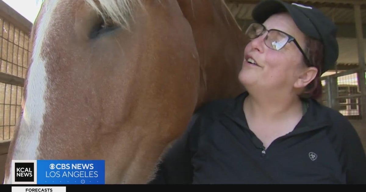 Former bomb expert turns into prizewinning horses trainer People