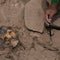 Archaeologists find buried mummy next to soccer field in Peru