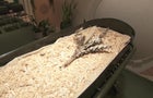 human-composting-1280.jpg 