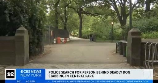 Police Man stabs dog after dispute in Central Park; dog euthanized(00)