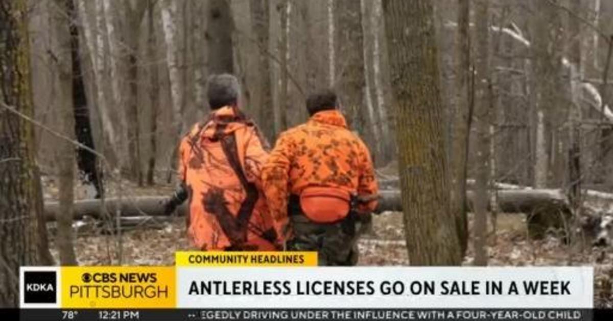 Pa. launching new process to buy antlerless licenses CBS Pittsburgh