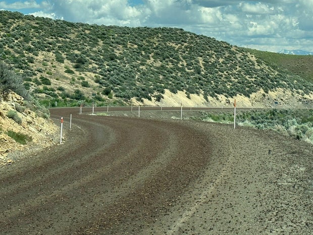 Mormon crickets are seen on a Nevada highway in a picture posted to Twitter on June 15, 2023.
