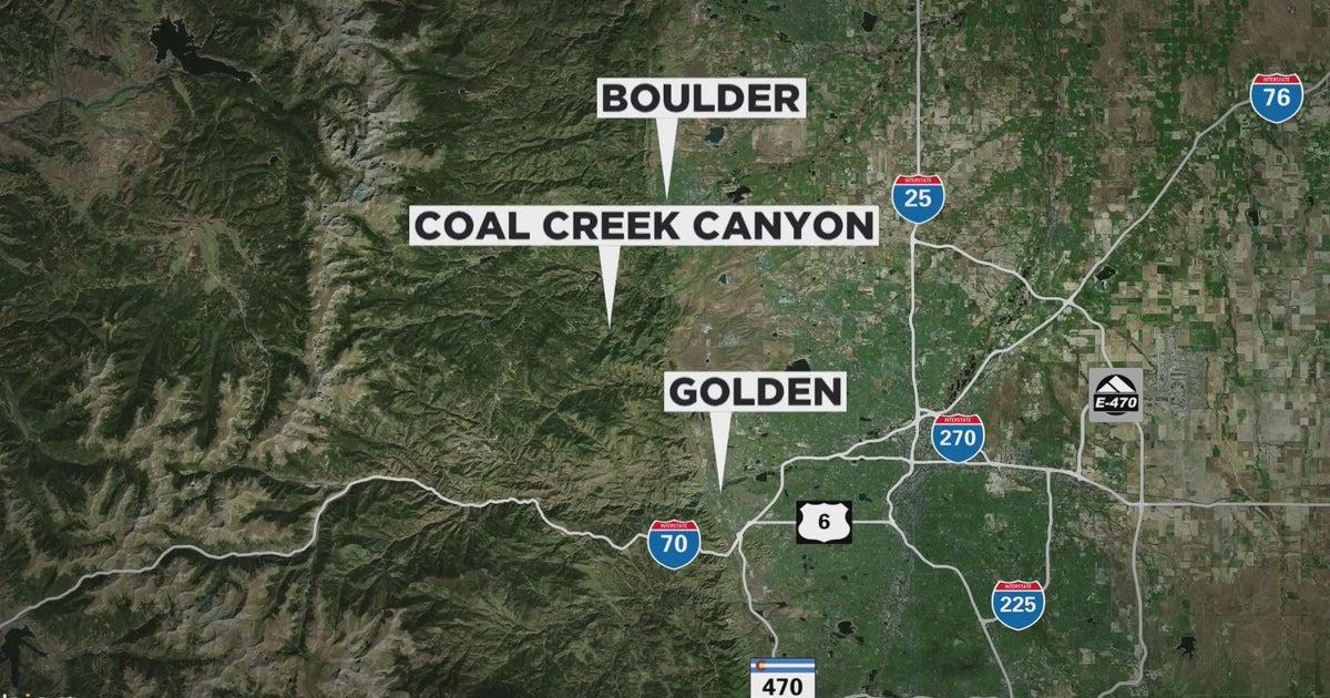 Colorado man stomped and injured by startled moose fired gun to scare it away, - CBS Colorado