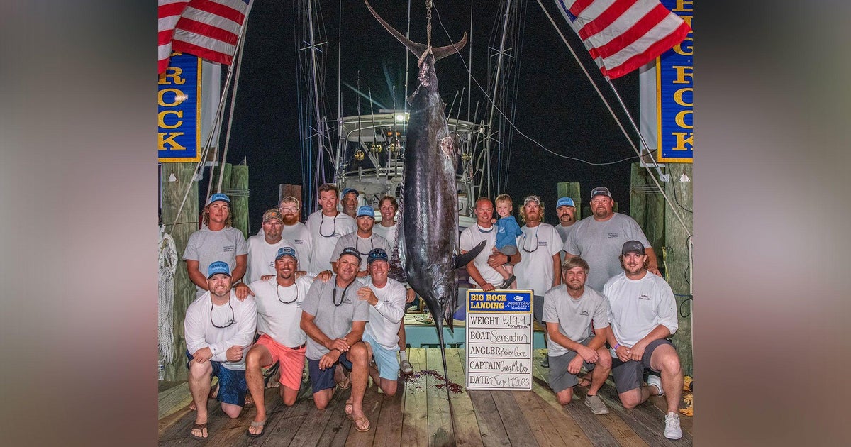 Captain of fishing boat disqualified for 'mutilated' marlin says the win was 'taken away from us' - Vimarsana News