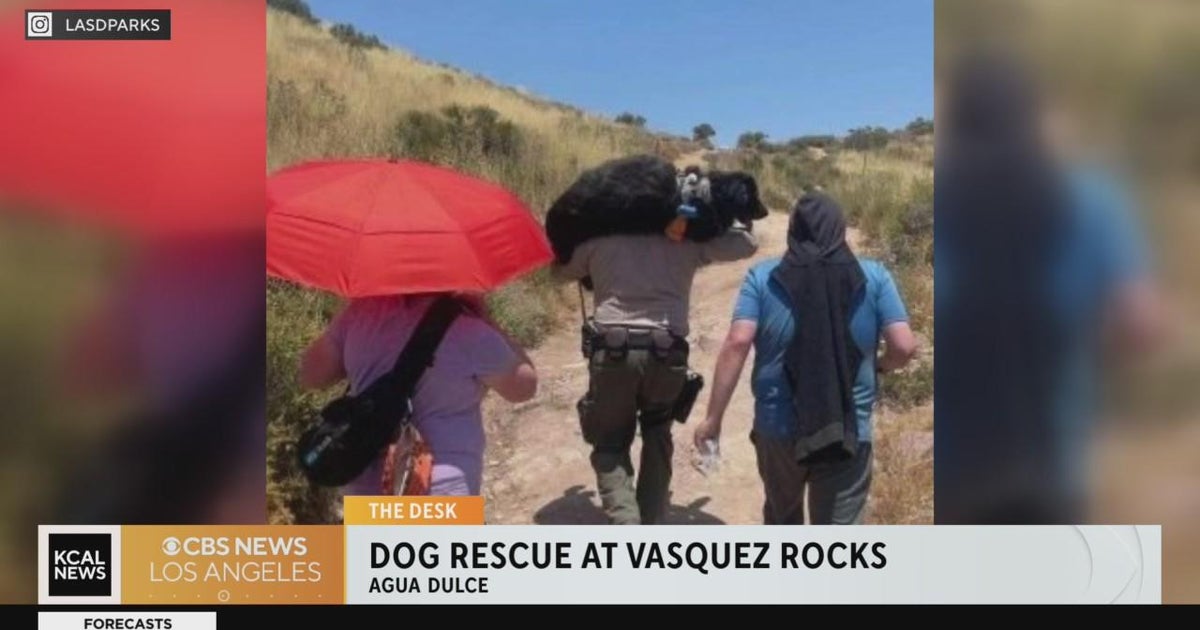 A Los Angeles County Sheriff's deputy rescues dog - CBS Los Angeles