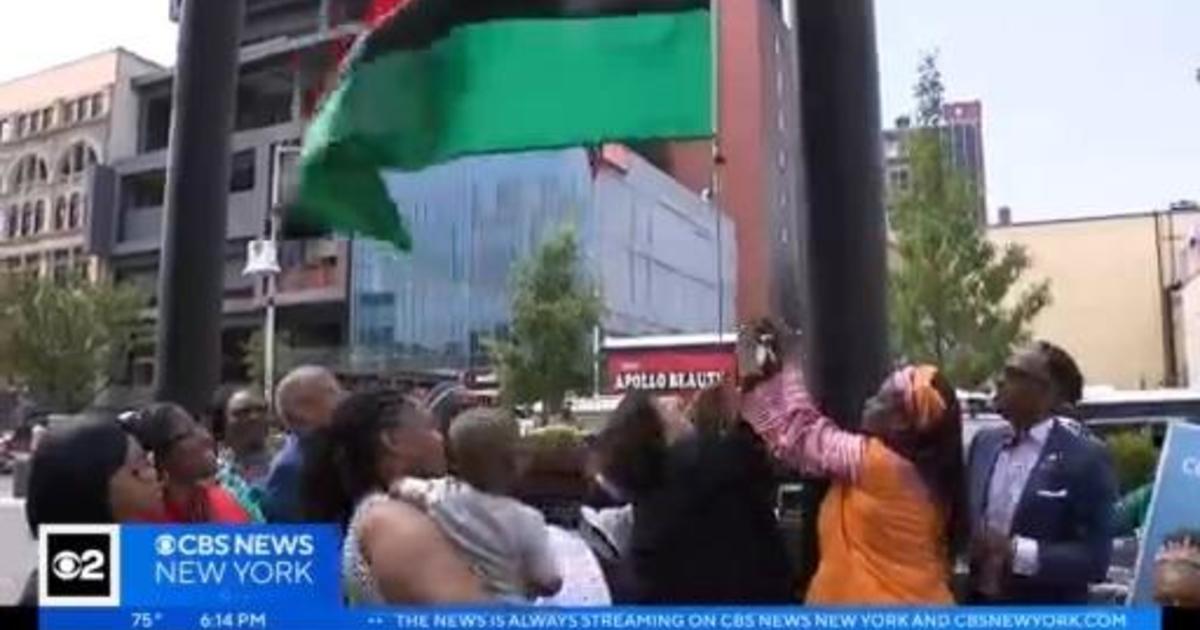 Black Liberation flag raised at Harlem state building for Juneteenth ...