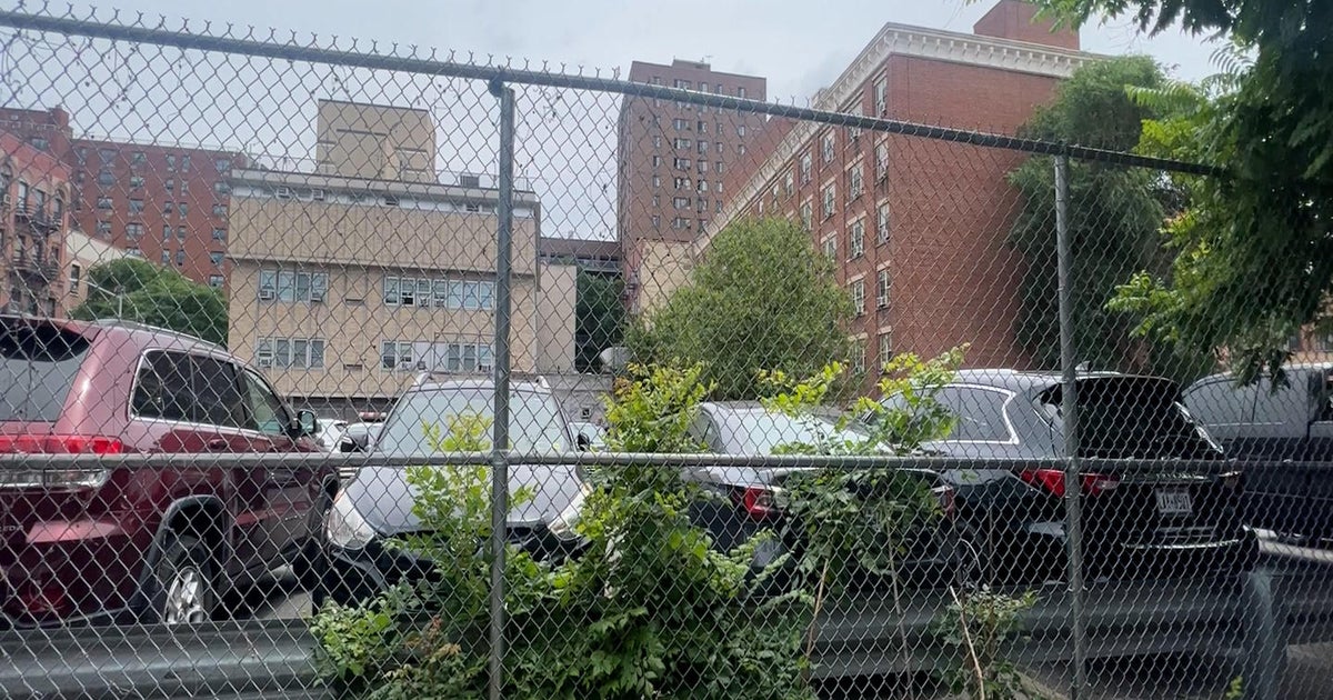 East Harlem neighbors opposed to proposed Timbale Terrace affordable ...