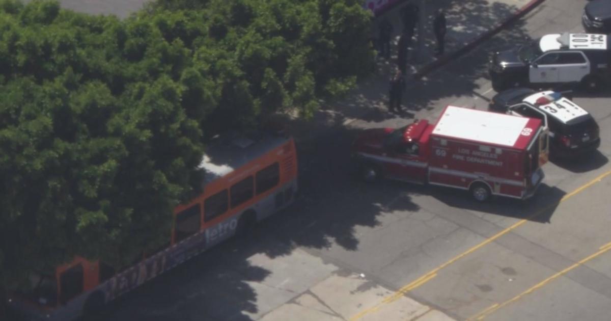 Metro Bus Driver Stabbed In Venice, Suspect In Custody - CBS Los Angeles