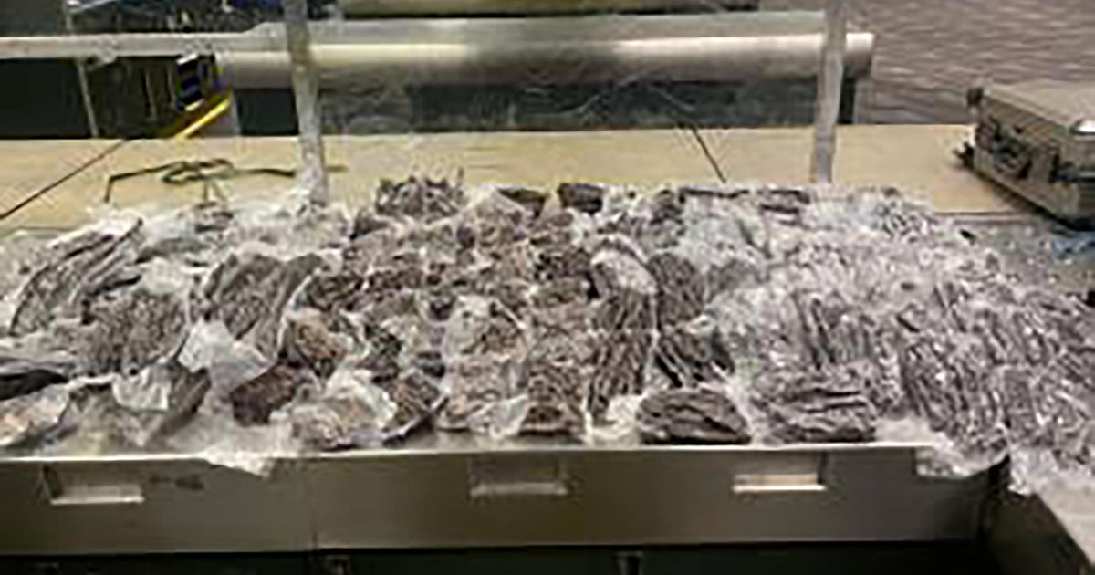 More than 80 pounds of "unapproved meat" seized from international passenger at MSP Airport - Vimarsana News
