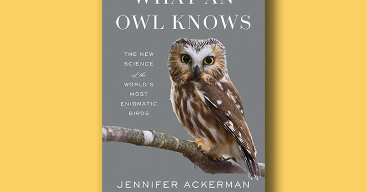 Book excerpt: "What an Owl Knows" by Jennifer Ackerman