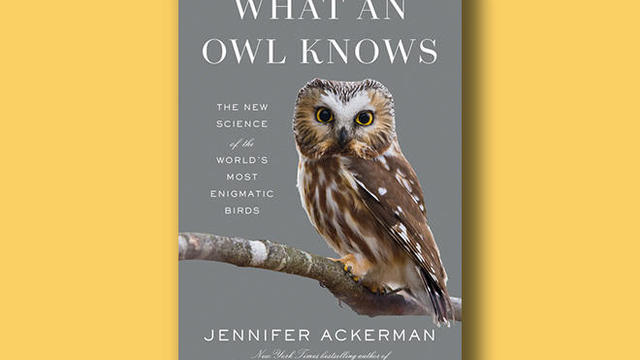 what-an-owl-knows-penguin-press-cover-660.jpg 